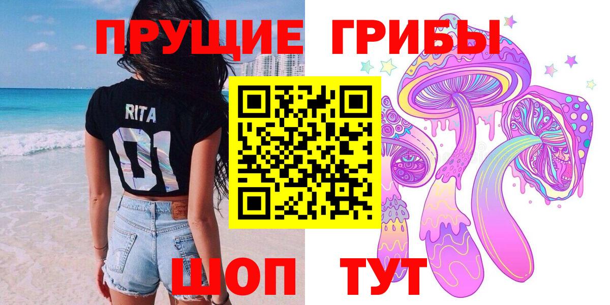 Новочебоксарск  Псилоцибиновые грибы прущие грибы  Псилоцибиновые грибы MAGIC MUSHROOMS  Вход с VPN 